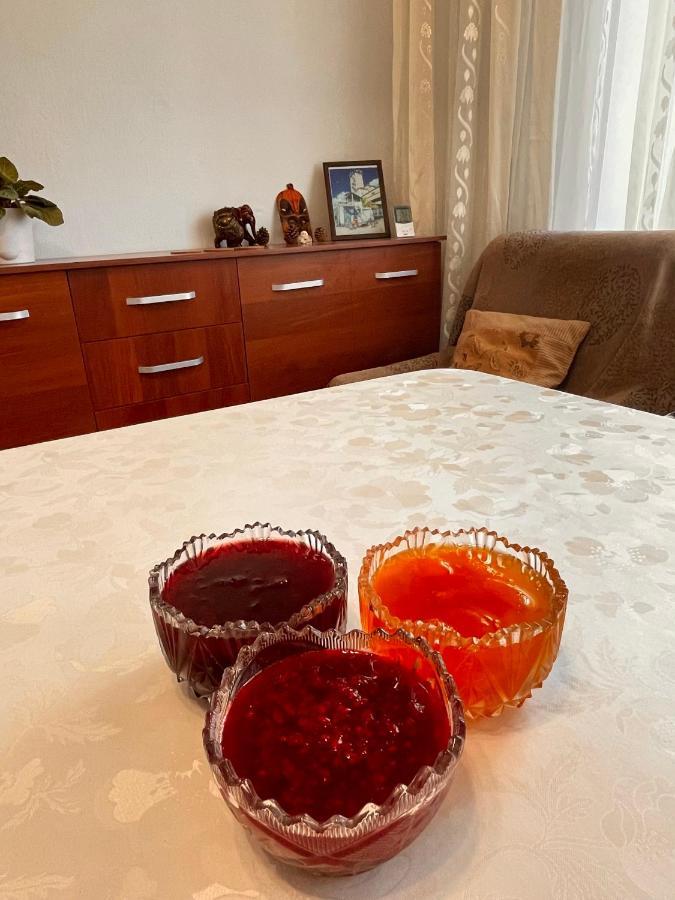 Gulnara Guest House Balykchy Ngoại thất bức ảnh