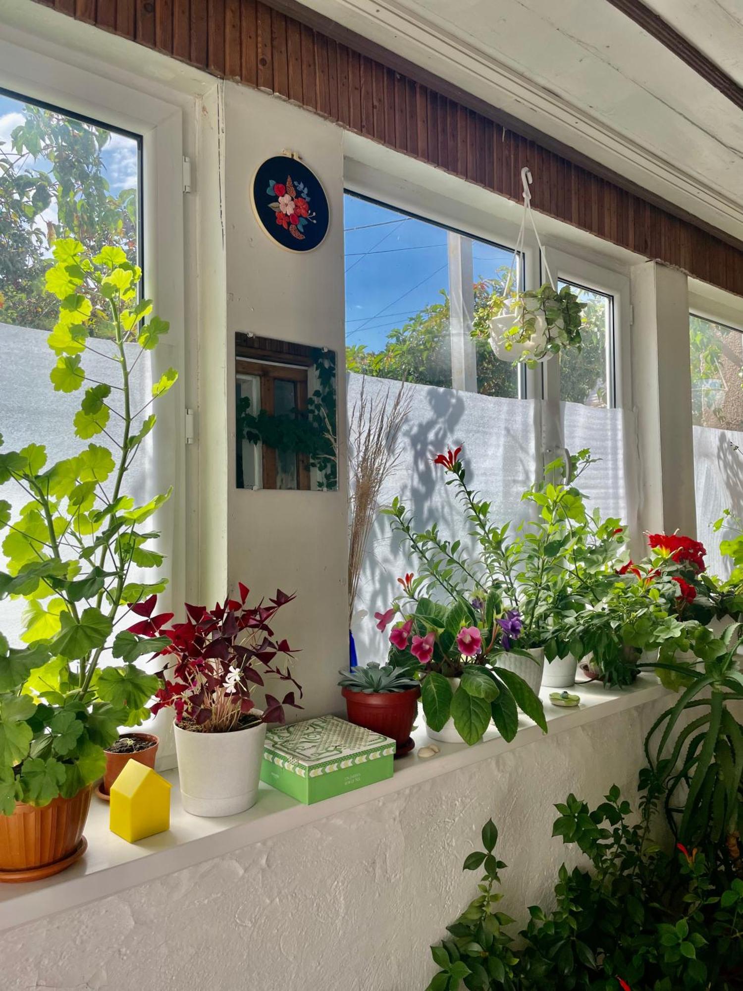 Gulnara Guest House Balykchy Ngoại thất bức ảnh